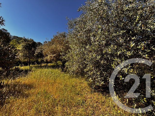 Maison &agrave; vendre - 4 pi&egrave;ces - 125 m2 - Tourves - 83 - PROVENCE-ALPES-COTE-D-AZUR