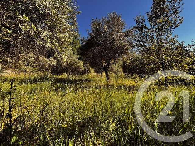 Maison &agrave; vendre - 4 pi&egrave;ces - 125 m2 - Tourves - 83 - PROVENCE-ALPES-COTE-D-AZUR