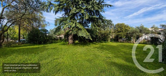 terrain - ST MAXIMIN LA STE BAUME - 83