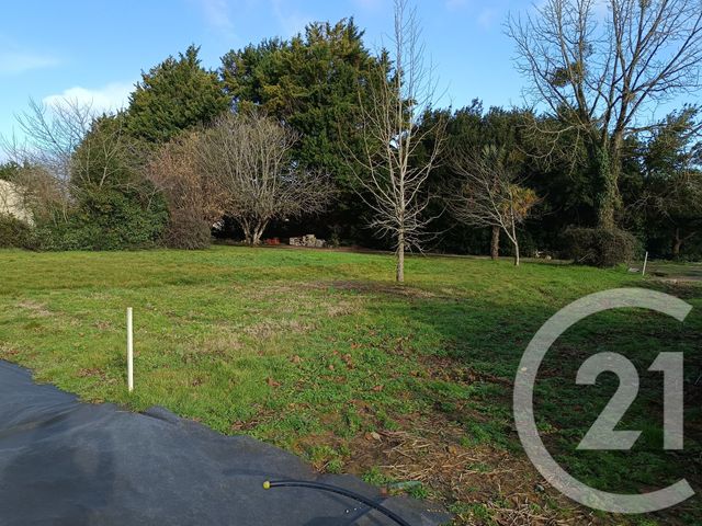 terrain - ST ROMAIN DE BENET - 17