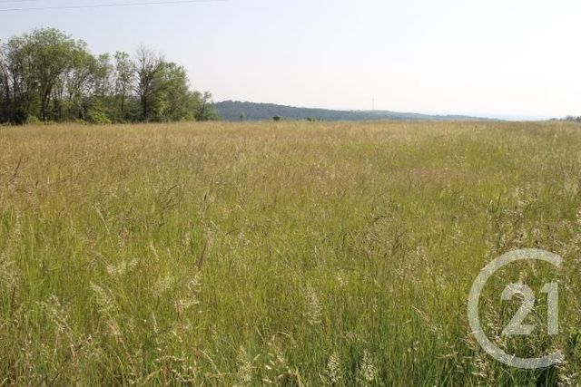 Terrain &agrave; vendre - 1546 m2 - Begues - 03 - AUVERGNE