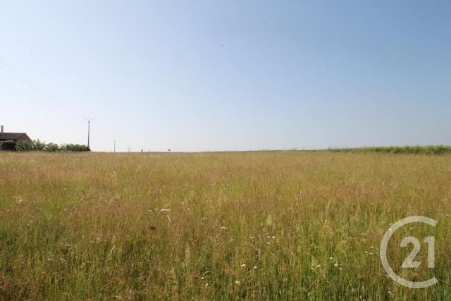 Terrain &agrave; vendre - 1546 m2 - Begues - 03 - AUVERGNE