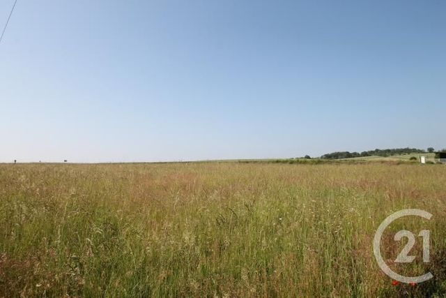 Terrain &agrave; vendre - 1546 m2 - Begues - 03 - AUVERGNE