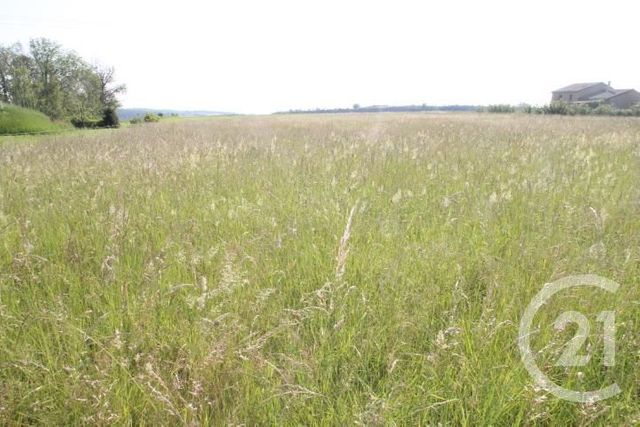 Terrain &agrave; vendre - 1546 m2 - Begues - 03 - AUVERGNE