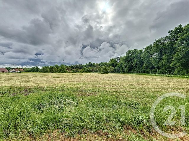 Terrain &agrave; vendre - 2781 m2 - Biozat - 03 - AUVERGNE