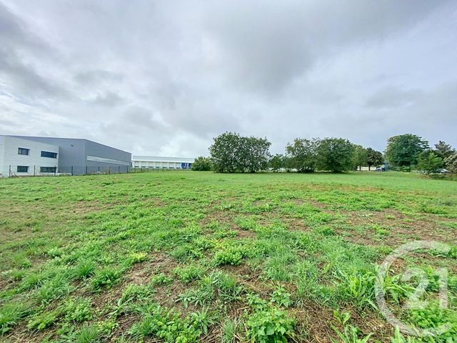 Terrain &agrave; vendre - 6224 m2 - Gannat - 03 - AUVERGNE