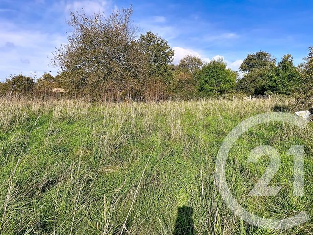 Maison &agrave; vendre - 7 pi&egrave;ces - 100 m2 - Nades - 03 - AUVERGNE