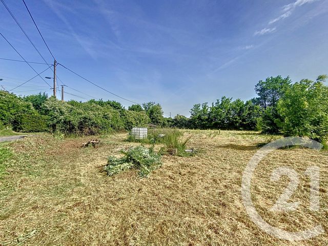 terrain - SAULZET - 03