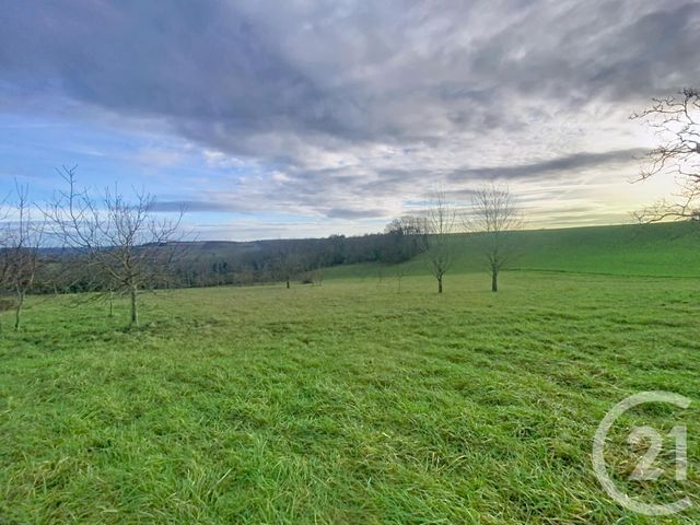 Maison &agrave; vendre - 8 pi&egrave;ces - 80 m2 - Naves - 03 - AUVERGNE