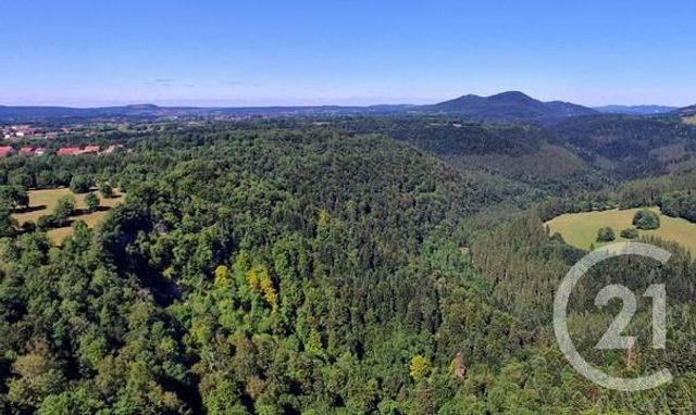 Maison à vendre - 1 pièce - 530 m2 - Pierrefontaine Les Varans - 25 - FRANCHE-COMTE