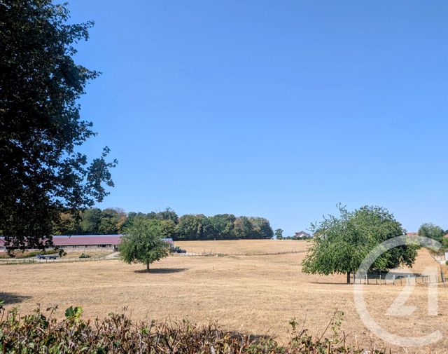 terrain - SAULES - 25