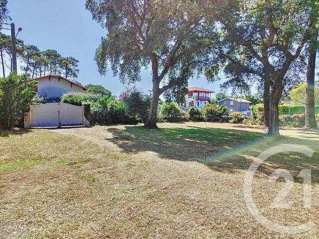 Terrain &agrave; vendre - 603 m2 - Labenne - 40 - AQUITAINE