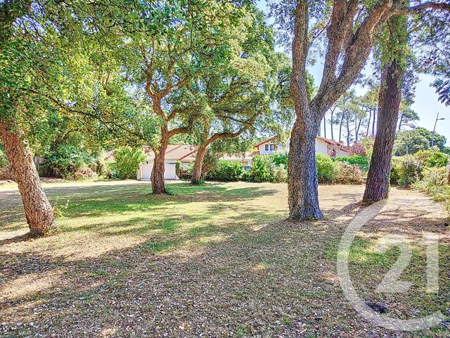 Terrain &agrave; vendre - 603 m2 - Labenne - 40 - AQUITAINE