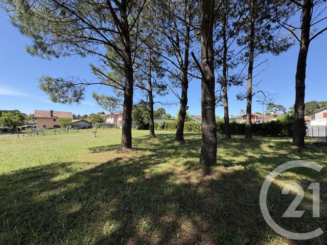 Terrain &agrave; vendre - 731 m2 - Ondres - 40 - AQUITAINE