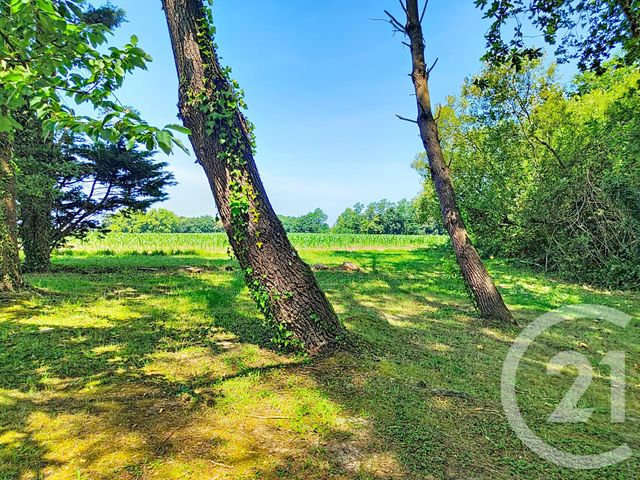 Maison &agrave; vendre - 4 pi&egrave;ces - 121,94 m2 - Orx - 40 - AQUITAINE