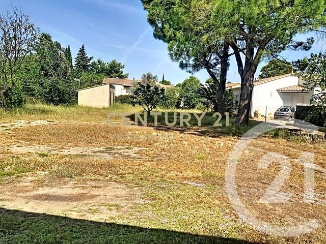 Maison &agrave; louer - 3 pi&egrave;ces - 71,42 m2 - Cournonterral - 34 - LANGUEDOC-ROUSSILLON