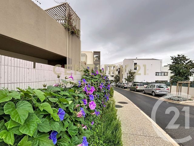 Appartement F2 &agrave; louer - 2 pi&egrave;ces - 42,50 m2 - St Jean De Vedas - 34 - LANGUEDOC-ROUSSILLON