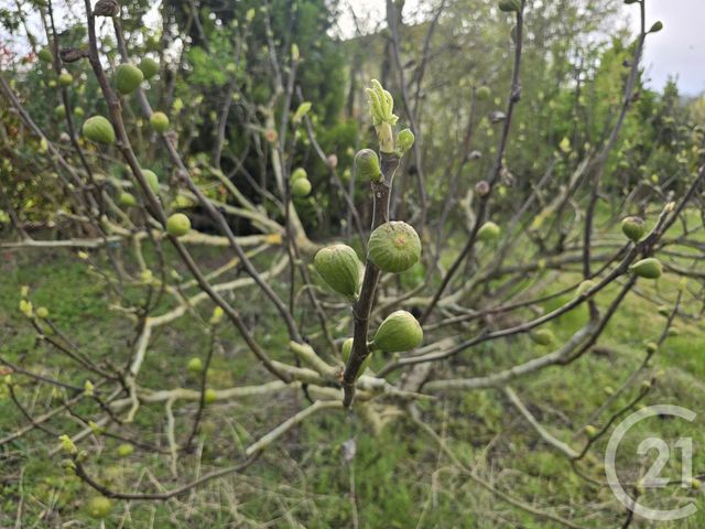 Maison &agrave; vendre - 6 pi&egrave;ces - 137 m2 - Jambville - 78 - ILE-DE-FRANCE