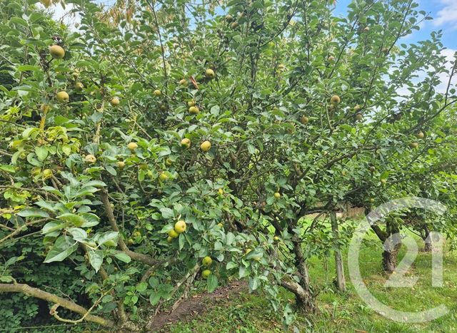 Maison &agrave; vendre - 3 pi&egrave;ces - 68,51 m2 - Lierville - 60 - PICARDIE