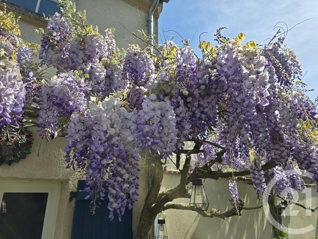 Maison &agrave; vendre - 6 pi&egrave;ces - 160 m2 - Sagy - 95 - ILE-DE-FRANCE