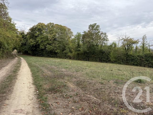 Terrain &agrave; vendre - 5290 m2 - Vigny - 95 - ILE-DE-FRANCE