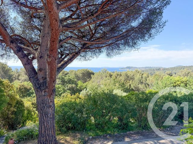 Maison &agrave; vendre - 6 pi&egrave;ces - 151,46 m2 - La Croix Valmer - 83 - PROVENCE-ALPES-COTE-D-AZUR