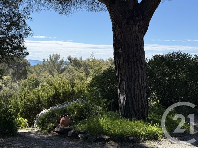 Maison &agrave; vendre - 6 pi&egrave;ces - 151,46 m2 - La Croix Valmer - 83 - PROVENCE-ALPES-COTE-D-AZUR