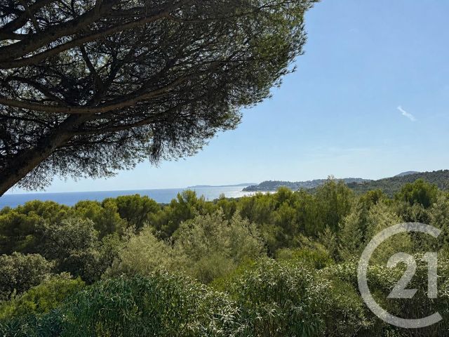 Maison &agrave; vendre - 6 pi&egrave;ces - 151 m2 - La Croix Valmer - 83 - PROVENCE-ALPES-COTE-D-AZUR