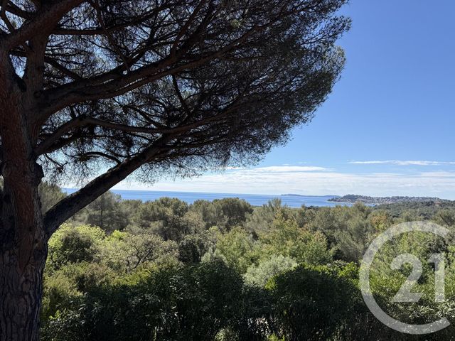 Maison &agrave; vendre - 6 pi&egrave;ces - 151,46 m2 - La Croix Valmer - 83 - PROVENCE-ALPES-COTE-D-AZUR