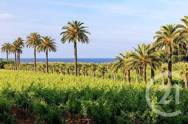 Maison à vendre - 5 pièces - 182,70 m2 - La Croix Valmer - 83 - PROVENCE-ALPES-COTE-D-AZUR