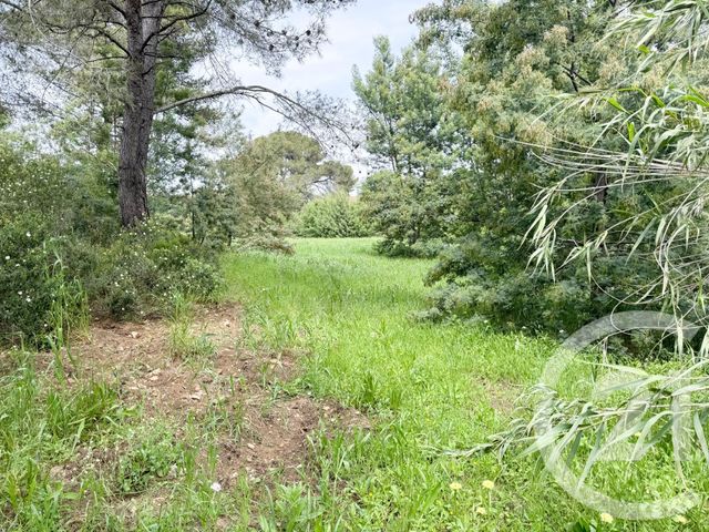 Terrain &agrave; vendre - 1200,09 m2 - La Croix Valmer - 83 - PROVENCE-ALPES-COTE-D-AZUR