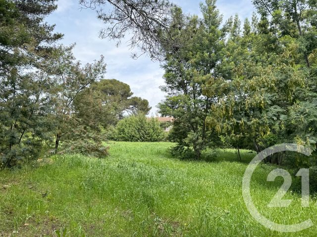 Terrain &agrave; vendre - 1200 m2 - La Croix Valmer - 83 - PROVENCE-ALPES-COTE-D-AZUR