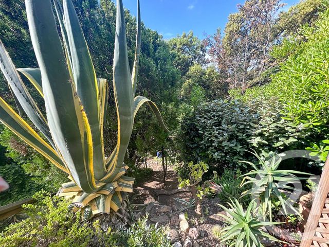 Appartement Studio Cabine à vendre - 1 pièce - 30,49 m2 - Cavalaire Sur Mer - 83 - PROVENCE-ALPES-COTE-D-AZUR