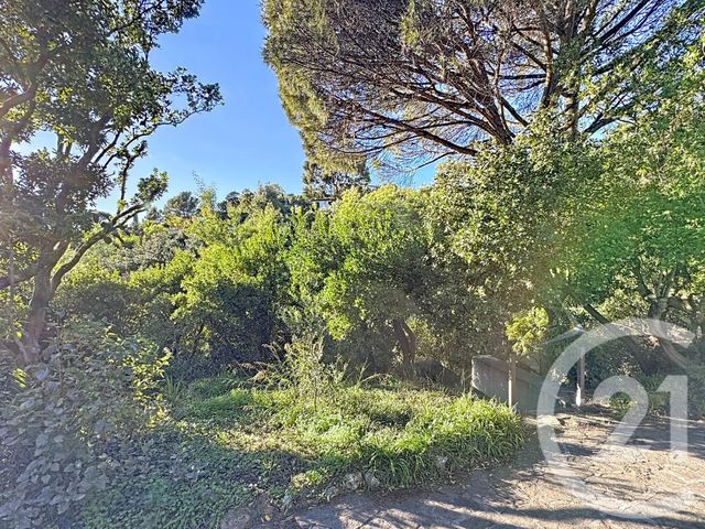 Maison &agrave; vendre - 4 pi&egrave;ces - 156 m2 - La Croix Valmer - 83 - PROVENCE-ALPES-COTE-D-AZUR