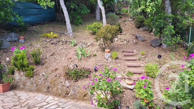 Maison &agrave; vendre - 4 pi&egrave;ces - 54 m2 - Cavalaire Sur Mer - 83 - PROVENCE-ALPES-COTE-D-AZUR