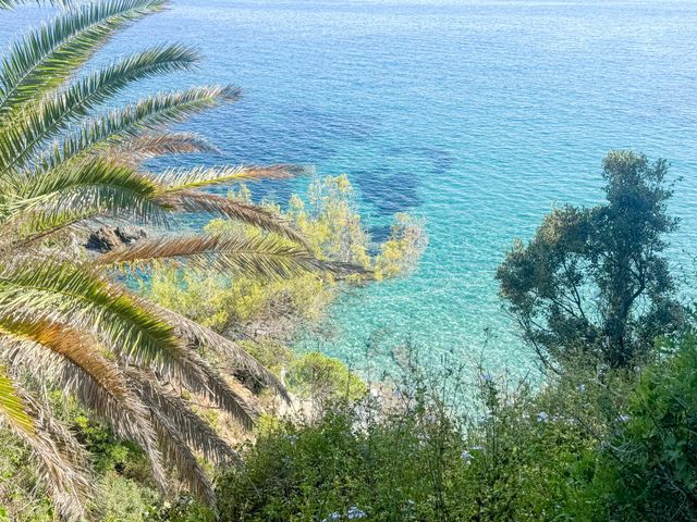 Maison à vendre - 8 pièces - 187 m2 - La Croix Valmer - 83 - PROVENCE-ALPES-COTE-D-AZUR