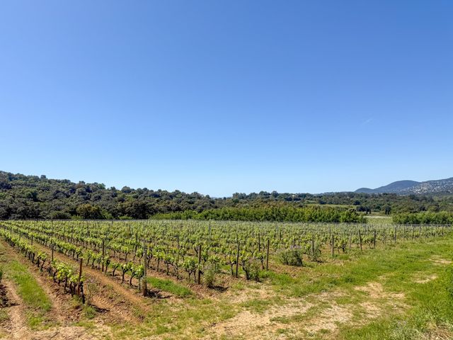 Maison &agrave; vendre - 6 pi&egrave;ces - 183 m2 - La Croix Valmer - 83 - PROVENCE-ALPES-COTE-D-AZUR