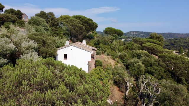 Maison &agrave; vendre - 4 pi&egrave;ces - 80 m2 - La Croix Valmer - 83 - PROVENCE-ALPES-COTE-D-AZUR