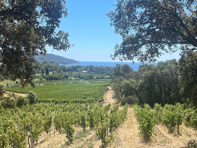 Maison &agrave; vendre - 5 pi&egrave;ces - 142 m2 - La Croix Valmer - 83 - PROVENCE-ALPES-COTE-D-AZUR