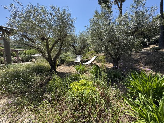 Maison &agrave; vendre - 7 pi&egrave;ces - 250 m2 - La Croix Valmer - 83 - PROVENCE-ALPES-COTE-D-AZUR