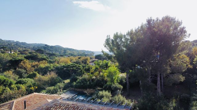 Maison &agrave; vendre - 7 pi&egrave;ces - 250 m2 - La Croix Valmer - 83 - PROVENCE-ALPES-COTE-D-AZUR