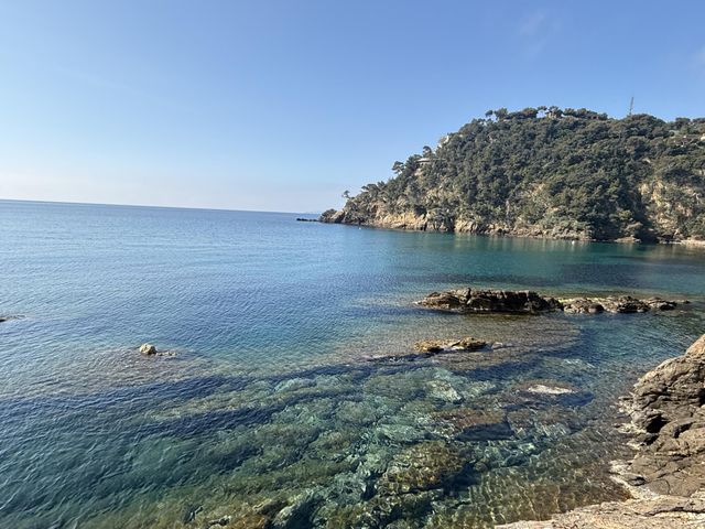 Maison &agrave; vendre - 6 pi&egrave;ces - 160 m2 - Cavalaire Sur Mer - 83 - PROVENCE-ALPES-COTE-D-AZUR