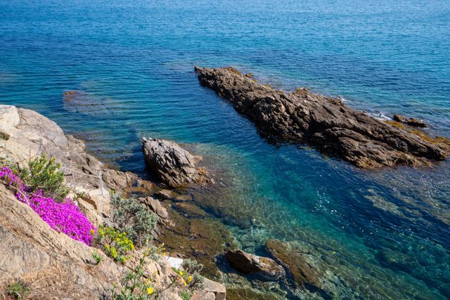 Maison &agrave; vendre - 6 pi&egrave;ces - 160 m2 - Cavalaire Sur Mer - 83 - PROVENCE-ALPES-COTE-D-AZUR