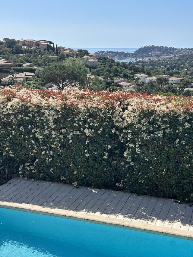 Maison &agrave; vendre - 6 pi&egrave;ces - 133 m2 - Cavalaire Sur Mer - 83 - PROVENCE-ALPES-COTE-D-AZUR