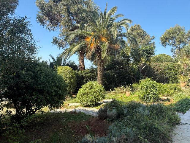 Maison &agrave; vendre - 20 pi&egrave;ces - 360 m2 - La Croix Valmer - 83 - PROVENCE-ALPES-COTE-D-AZUR