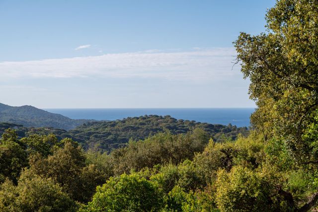 Maison &agrave; vendre - 10 pi&egrave;ces - 330 m2 - La Croix Valmer - 83 - PROVENCE-ALPES-COTE-D-AZUR