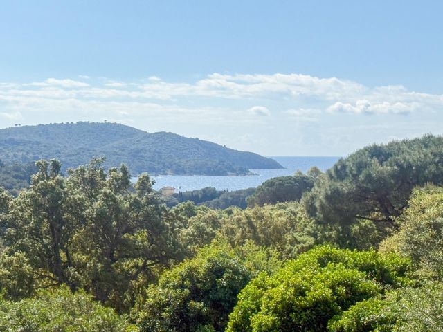 Maison &agrave; vendre - 8 pi&egrave;ces - 270 m2 - La Croix Valmer - 83 - PROVENCE-ALPES-COTE-D-AZUR