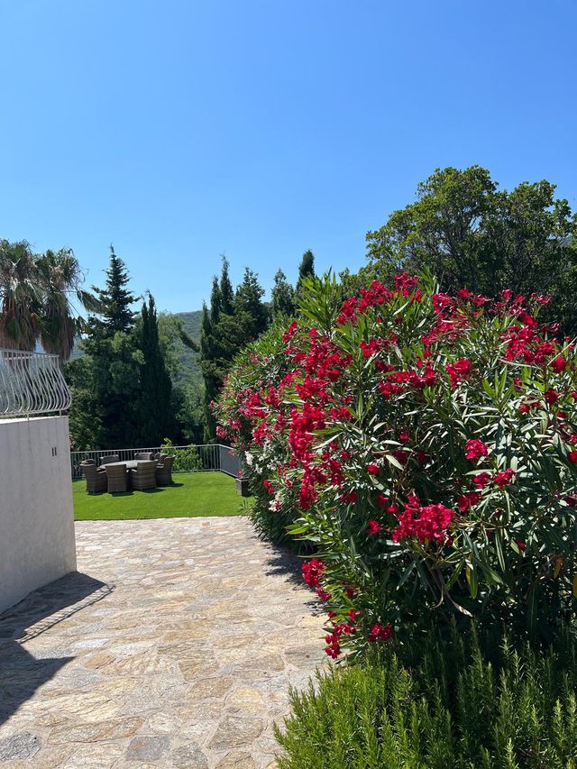 Maison &agrave; vendre - 5 pi&egrave;ces - 119,80 m2 - La Croix Valmer - 83 - PROVENCE-ALPES-COTE-D-AZUR
