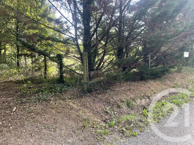 Terrain à vendre - 2200 m2 - Montpon Menesterol - 24 - AQUITAINE