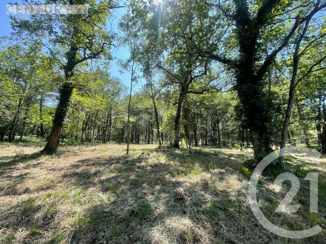 Maison à vendre - 5 pièces - 179,45 m2 - Echourgnac - 24 - AQUITAINE